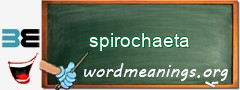 WordMeaning blackboard for spirochaeta